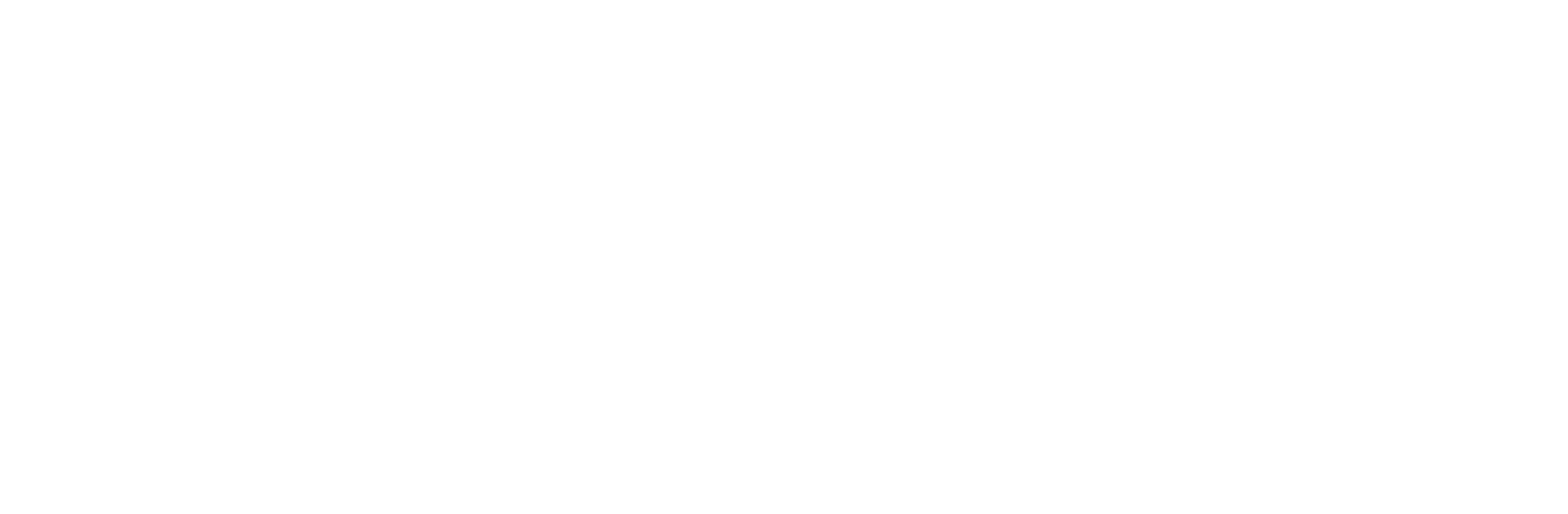 CloudSurgard Logo
